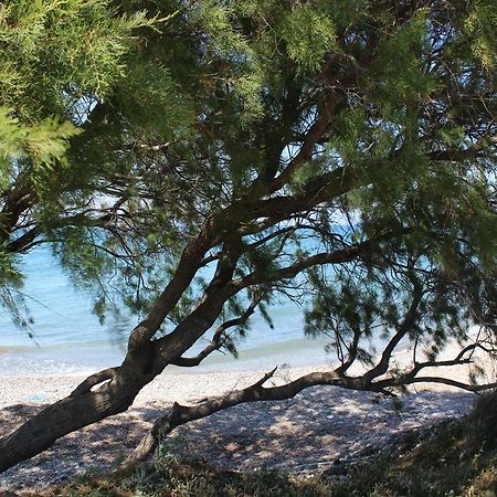 Corellia Asterias Beach Hotel Теологос Экстерьер фото