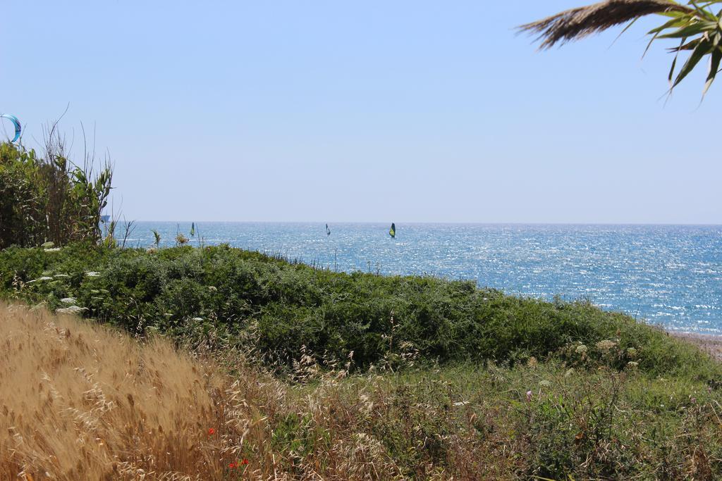 Corellia Asterias Beach Hotel Теологос Экстерьер фото