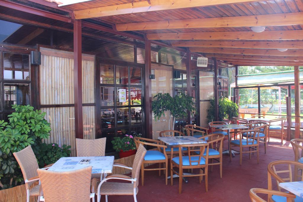 Corellia Asterias Beach Hotel Теологос Экстерьер фото